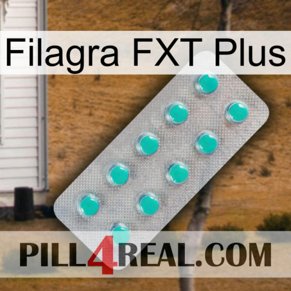 Filagra FXT Plus 28.jpg